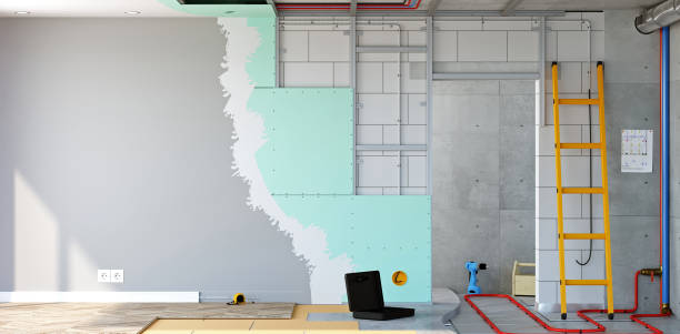 Best Asbestos and Lead Testing During Mold Inspection  in Sidney, IL