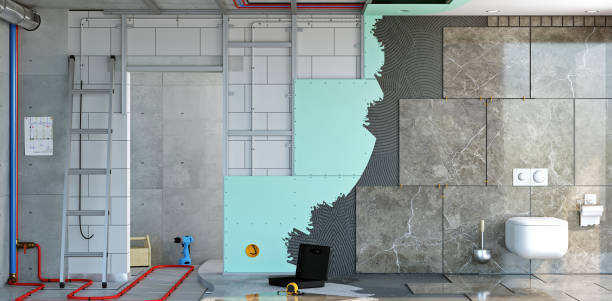 Sidney, IL Mold Removal Company