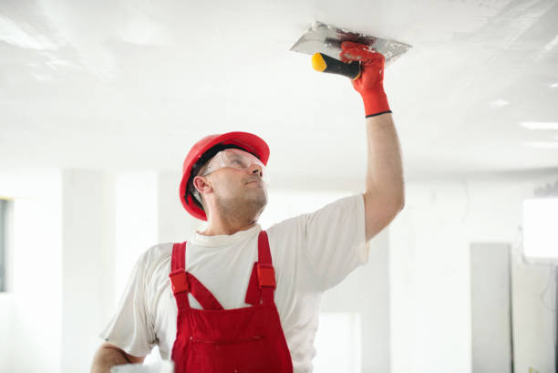 Best Comprehensive Air Testing for Mold Contaminants  in Sidney, IL