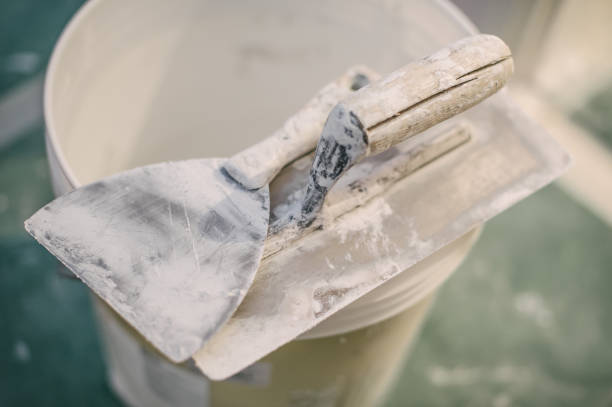 Best Basement Mold Removal  in Sidney, IL