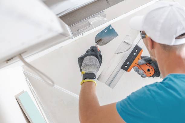 Best Mold Removal for HVAC Installations  in Sidney, IL